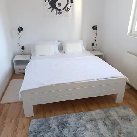 Garfield Family 1 Soko Banja