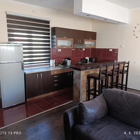 Garfield Family 1 Soko Banja