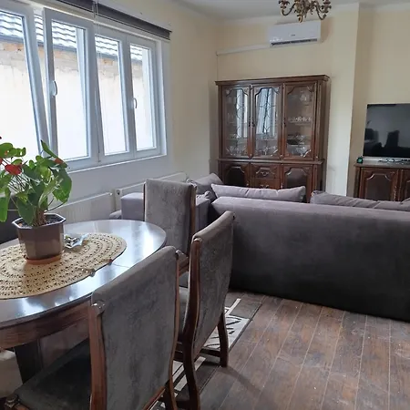 Garfield Family 1 Soko Banja