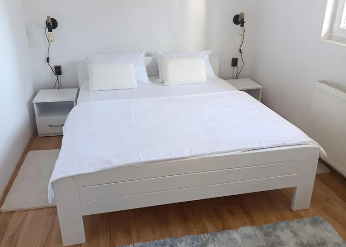 Garfield Family 1 Sokobanja