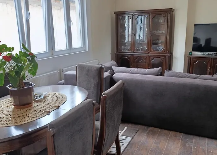 Garfield Family 1 Sokobanja